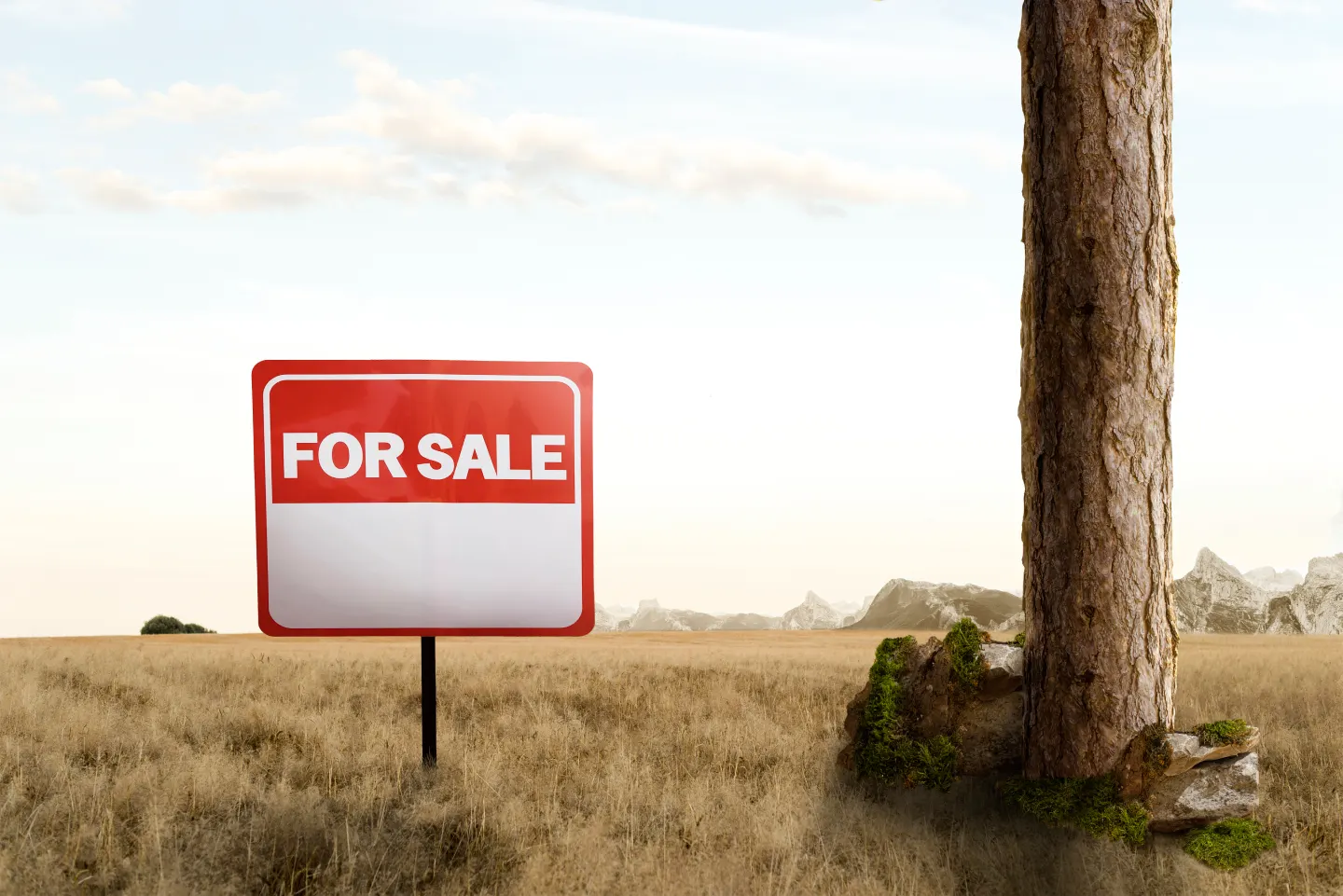 land-for-sale in Chennai